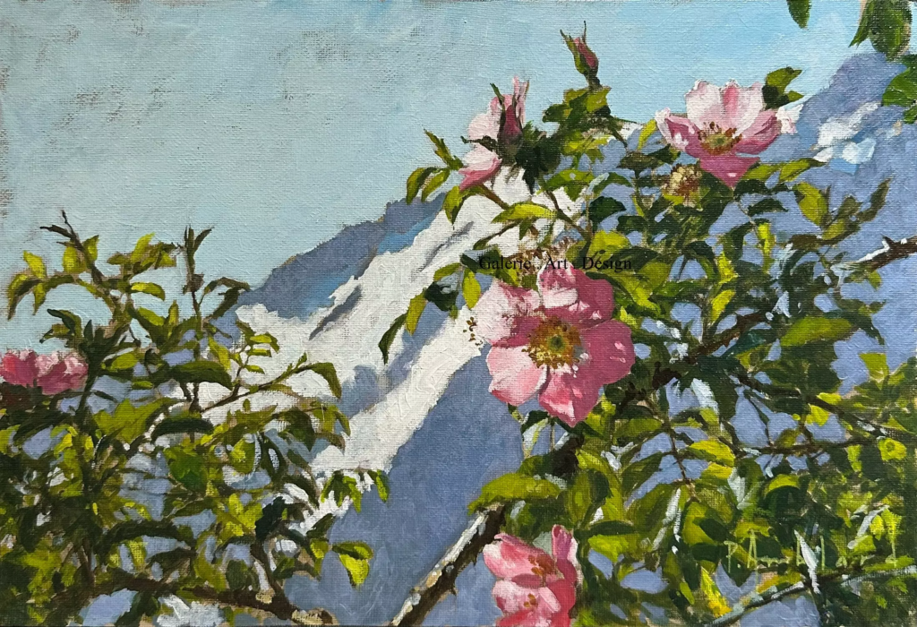 Image Roses sauvages