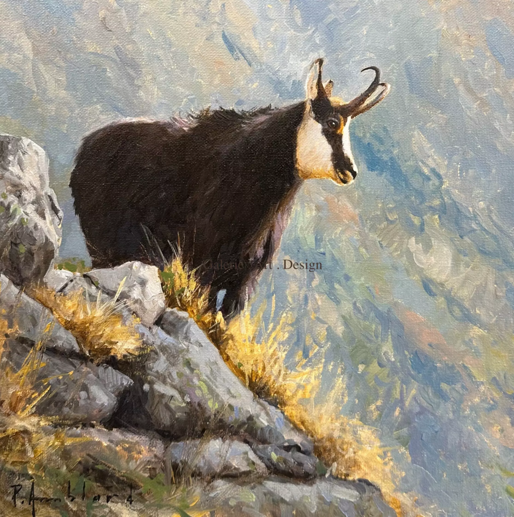 Image Chamois IV