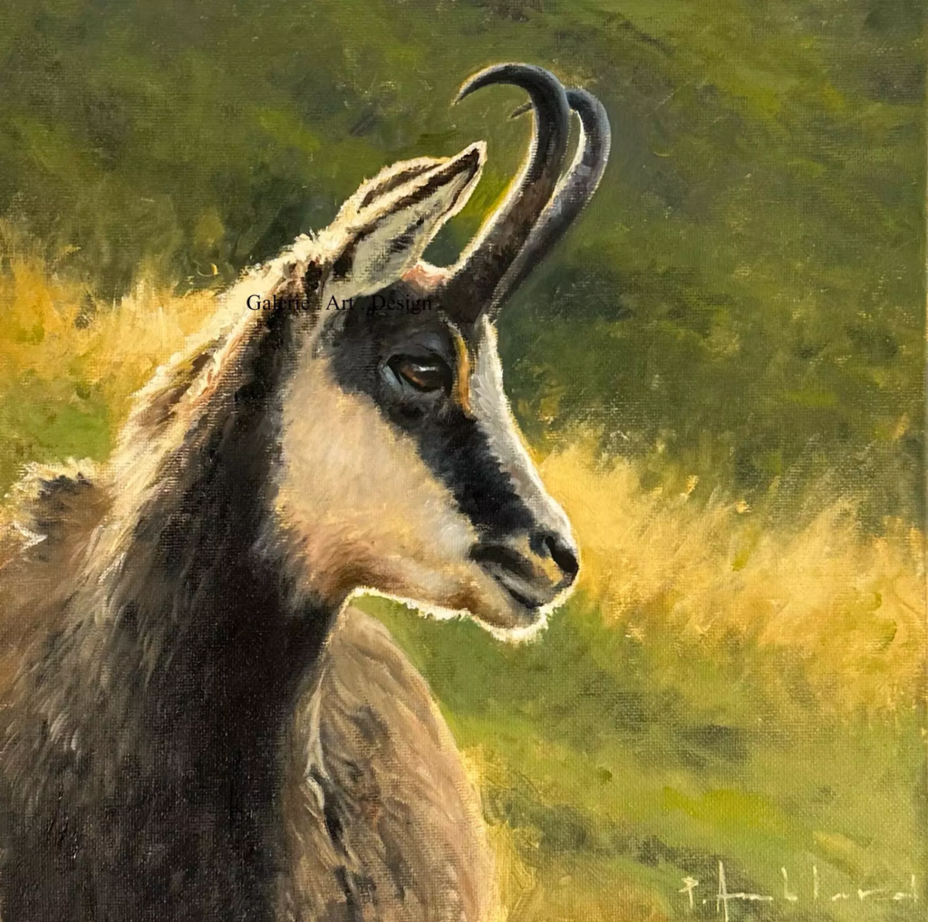 Image Chamois III