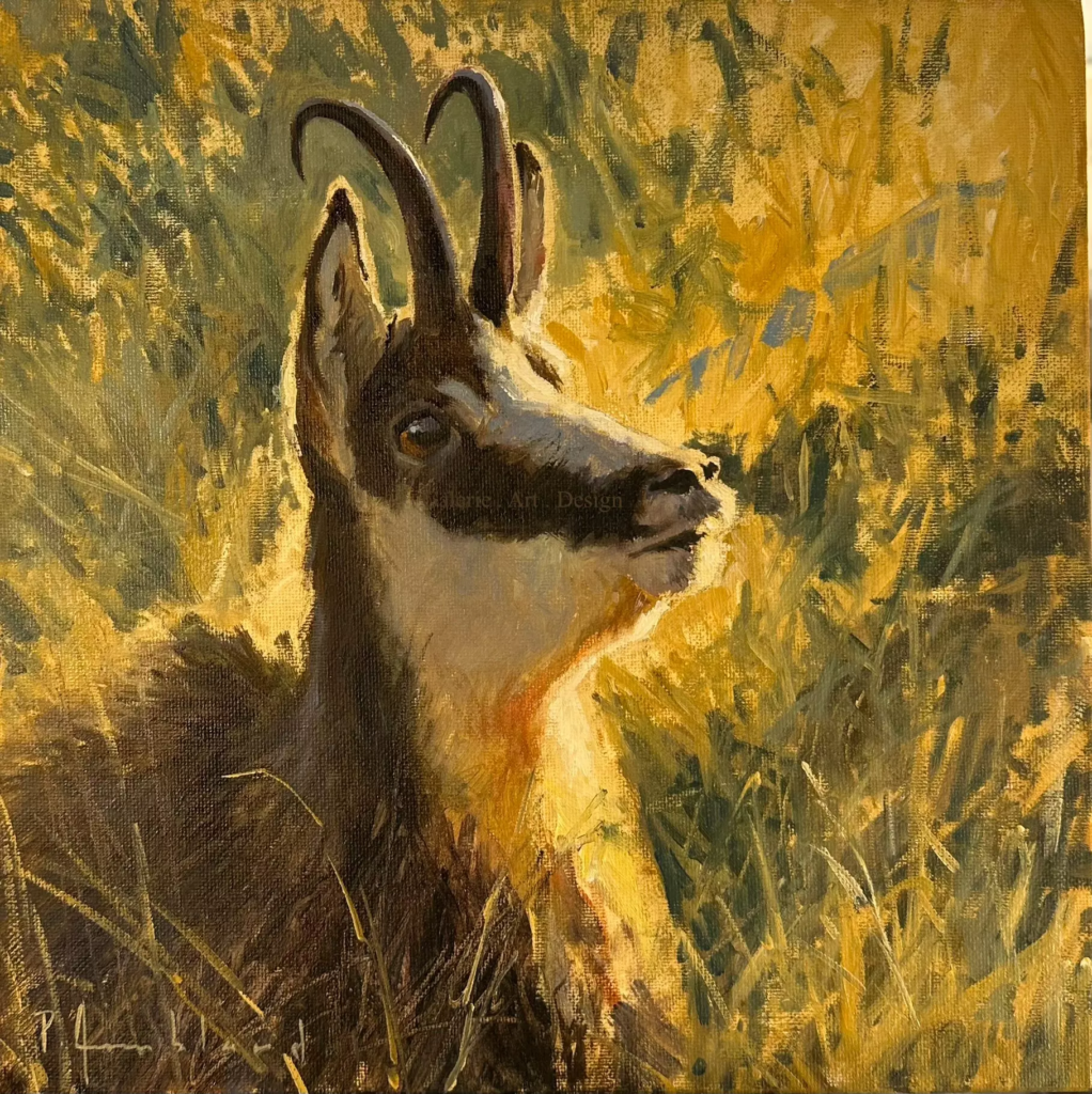 Image Chamois II