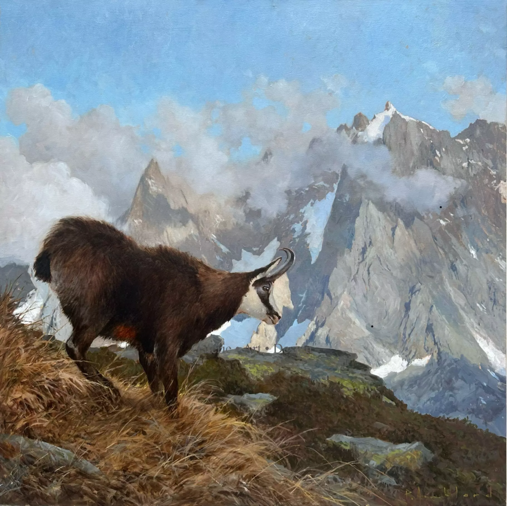 Image Chamois devant Blaitière