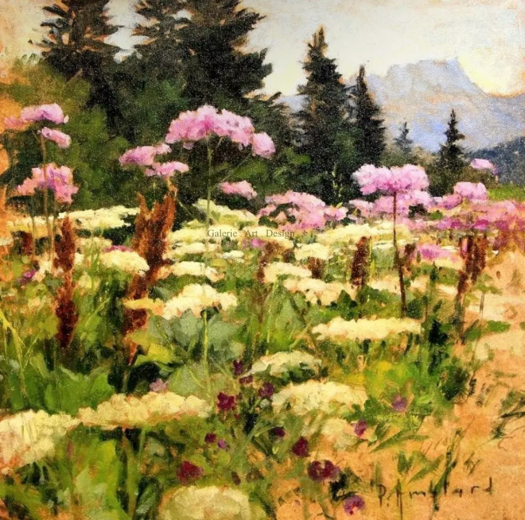 Image Fleurs des champs