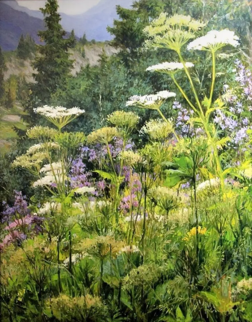 Image Fleurs des champs