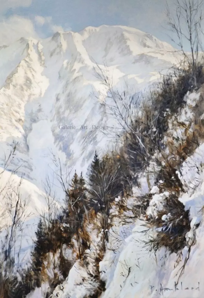 Image Les Dômes de Miage