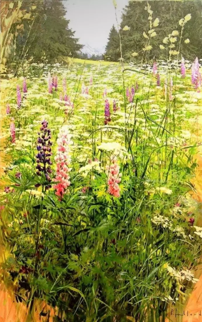 Image Lupins
