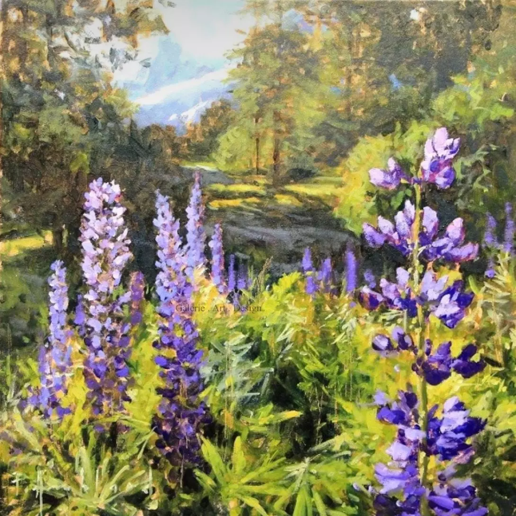 Image Lupins à Charousse