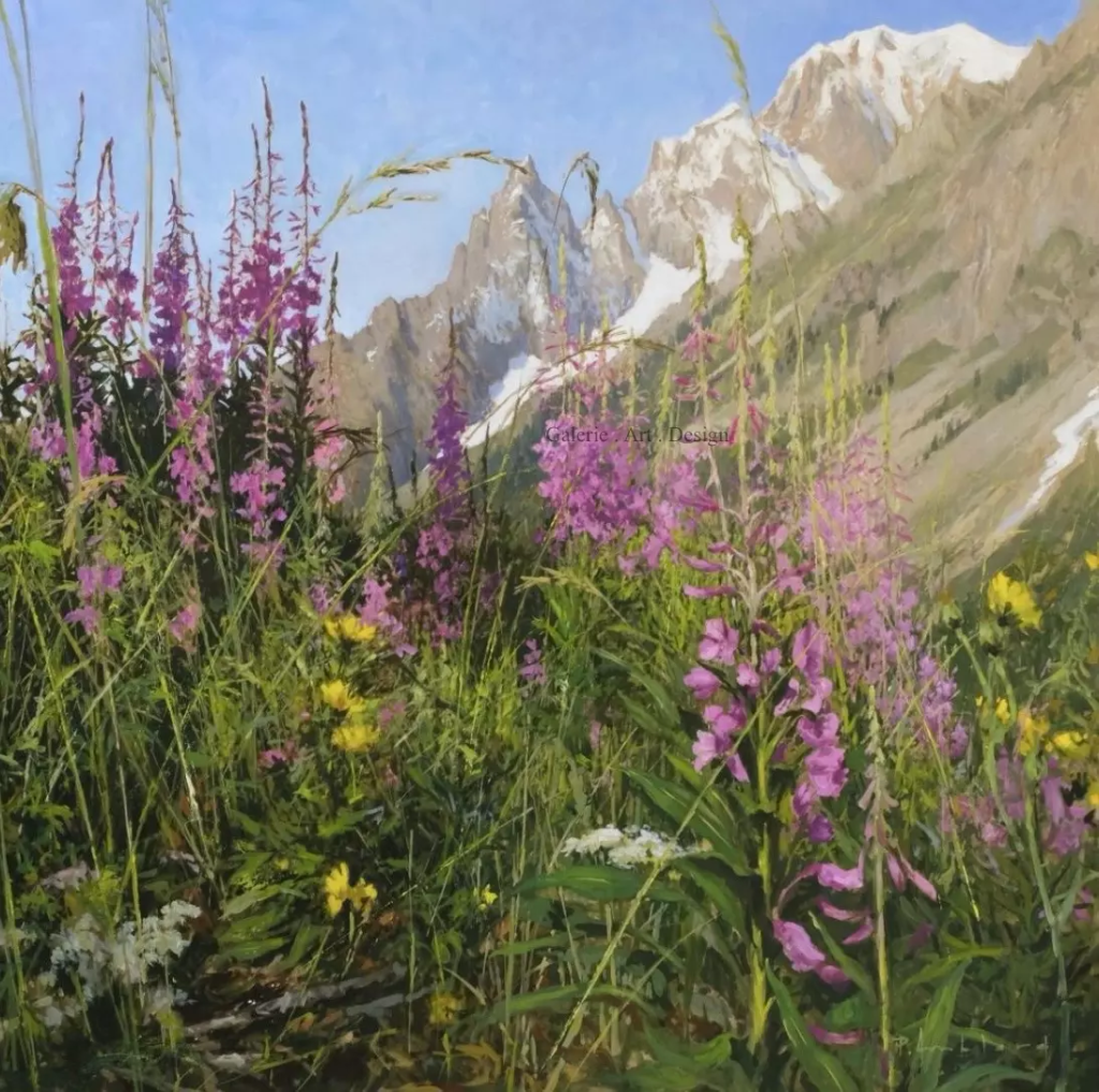 Image Épilobes du Val Ferret et le Mont Blanc