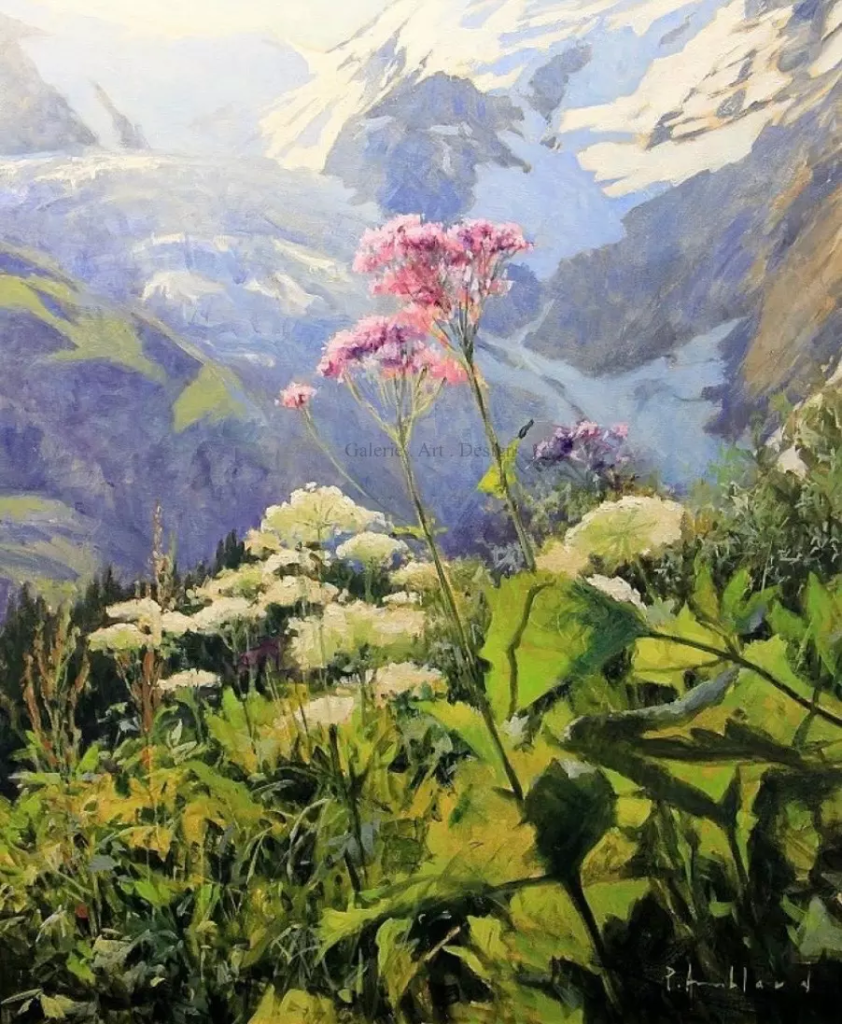 Image Fleurs et Glaciers