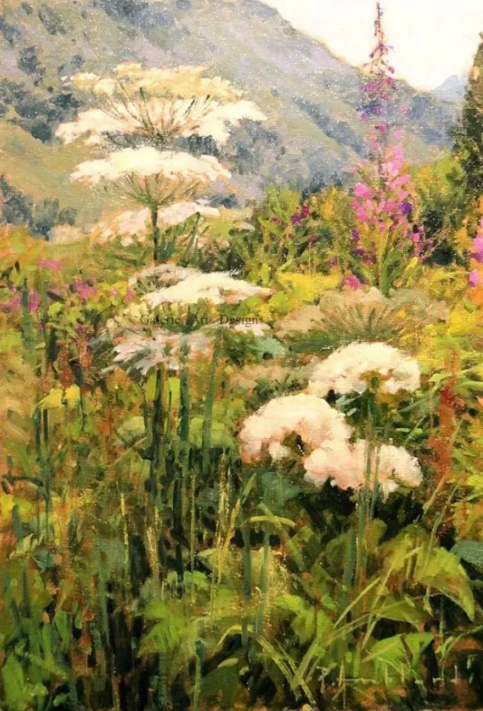 Image Berces et Épilobes