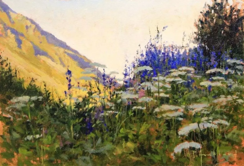 Image Fleurs des Alpes