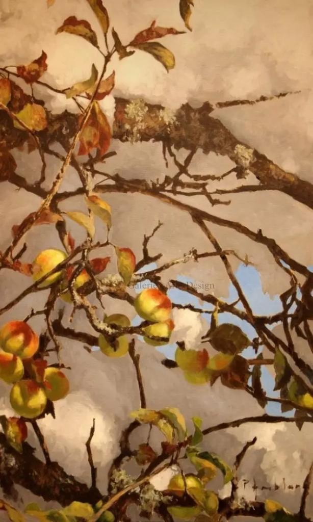 Image Pommier en hiver