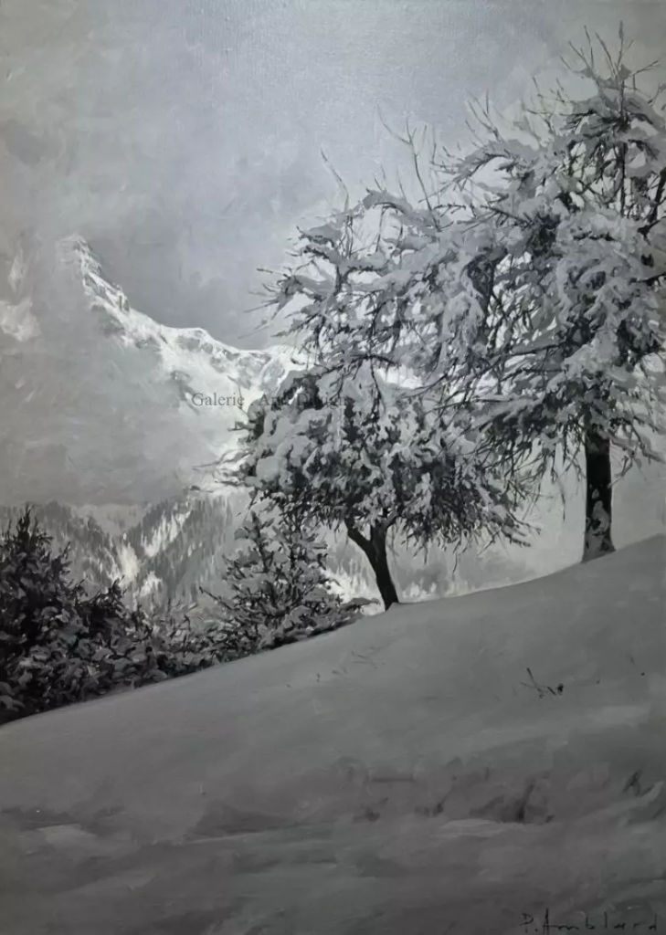 Image Grisaille en hiver