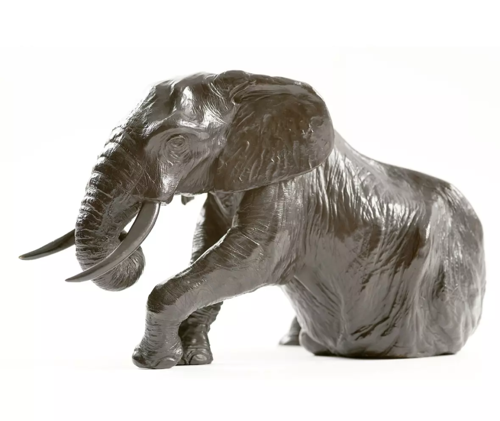 Image Éléphant d’Afrique se relevant