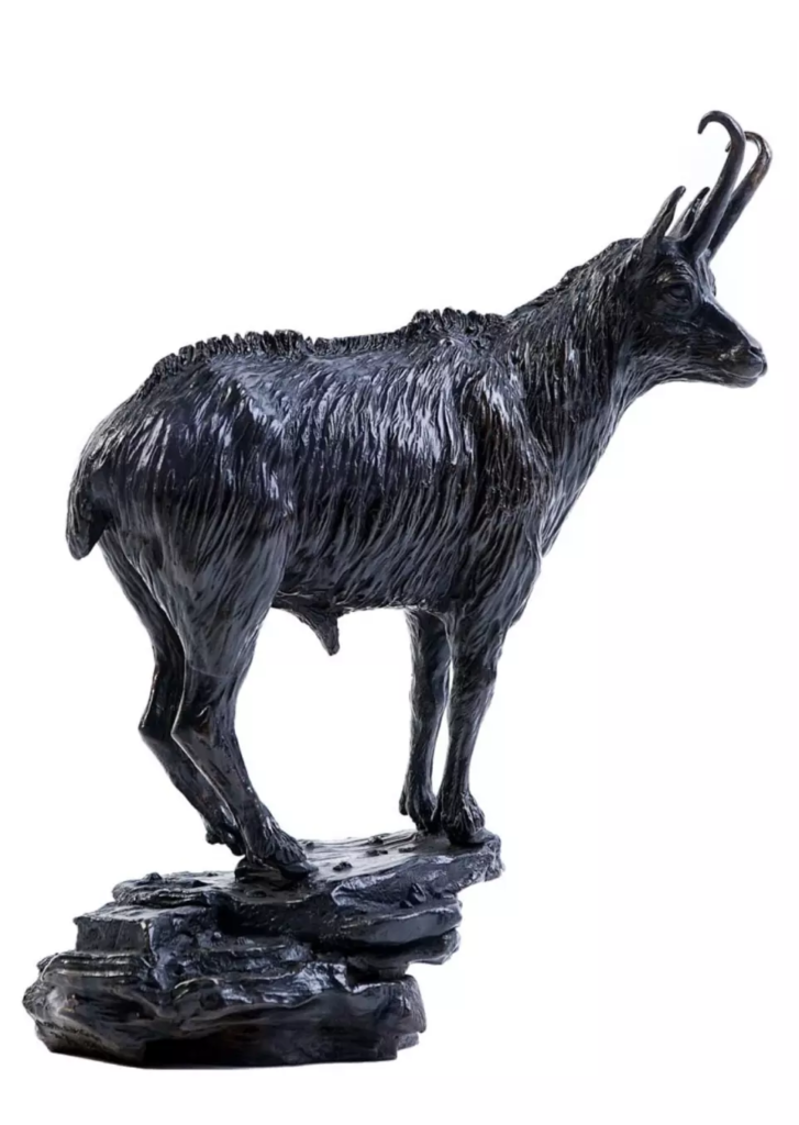 Image Chamois d’hiver mâle