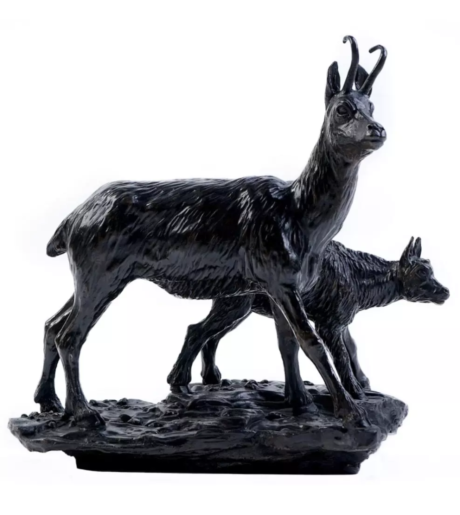 Image Chamois et chevreau