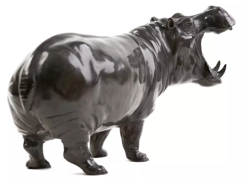 Image Hippopotame gueule ouverte