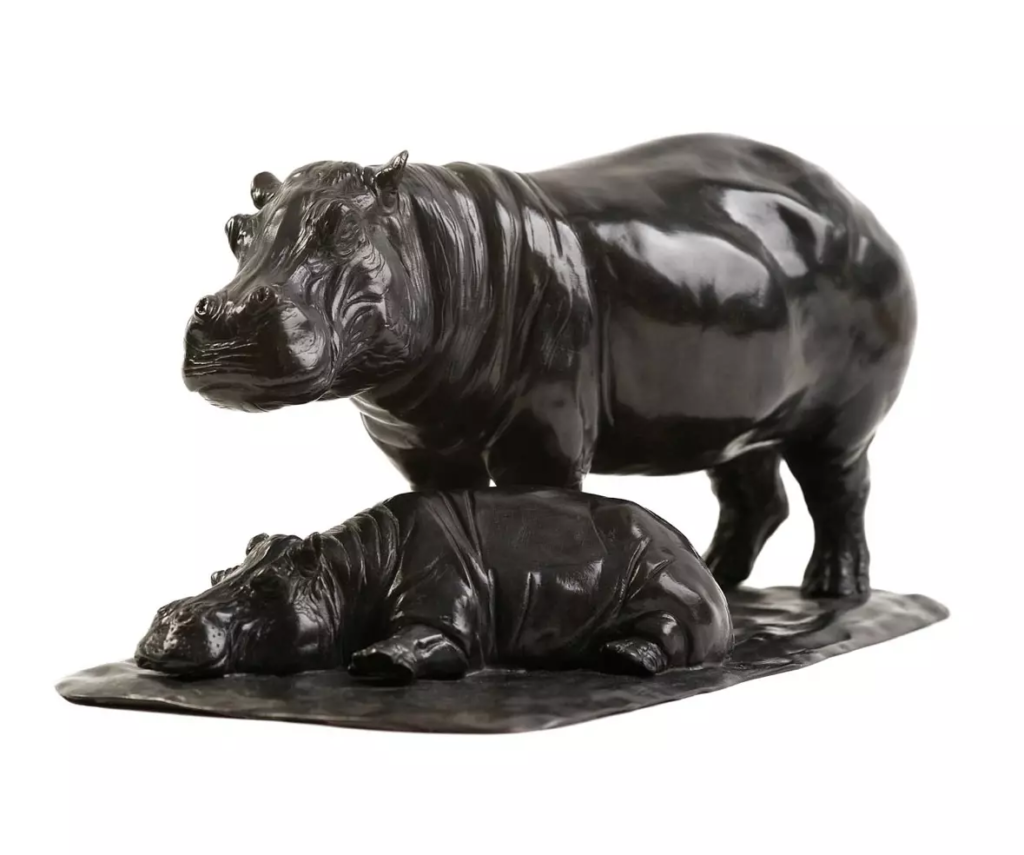 Image Femelle hippopotame et son petit