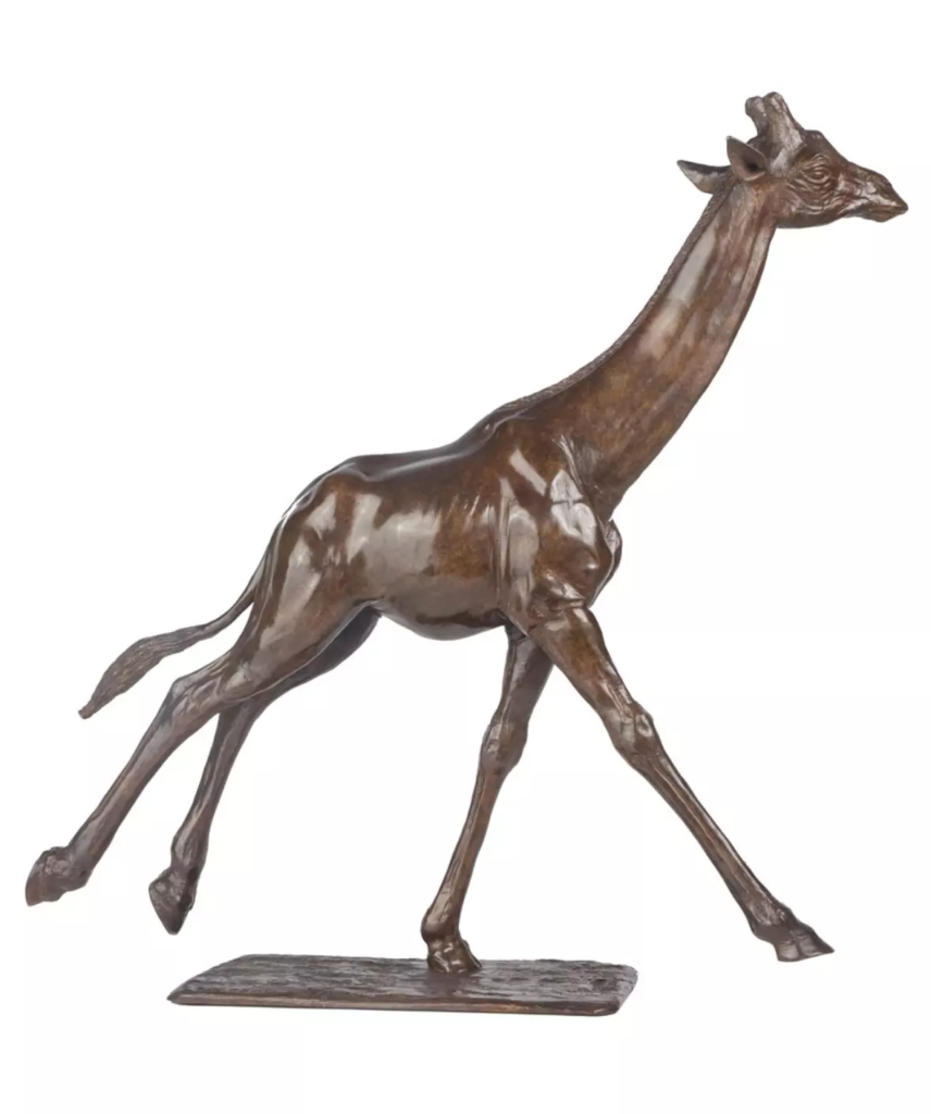 Image Girafe au galop n°1