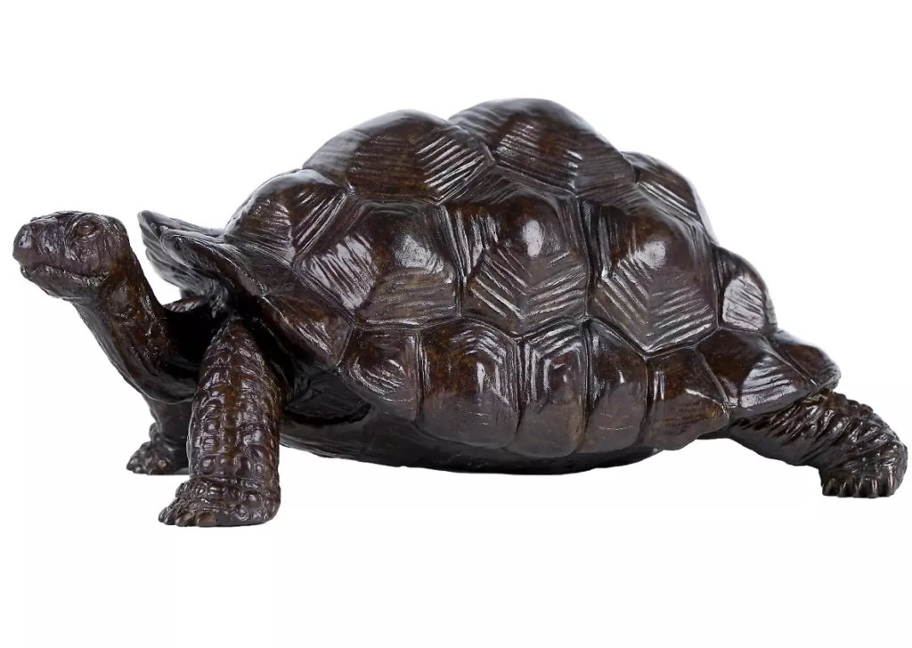 Image Tortue géante d’Aldabra