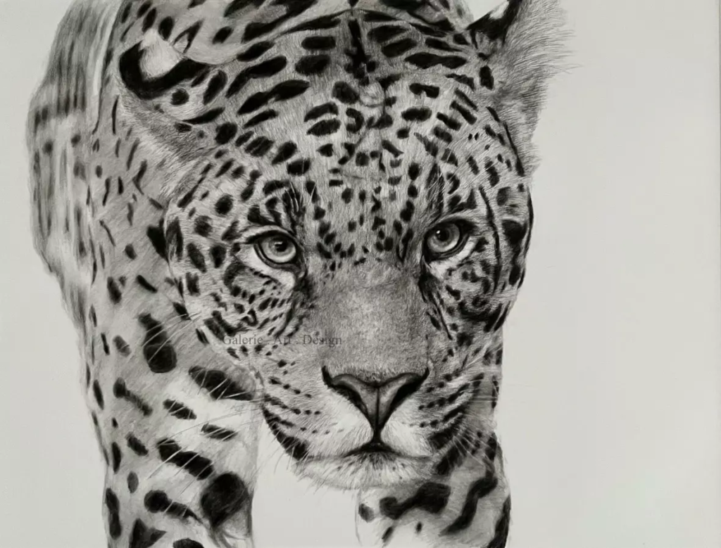 Image Jaguar