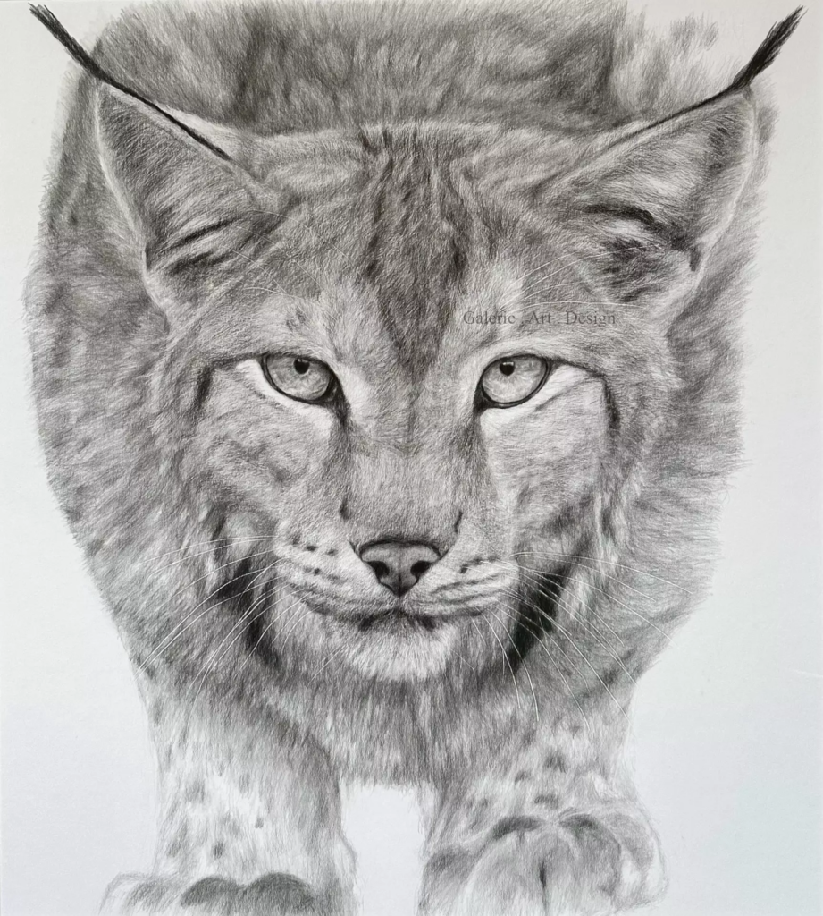 Image Lynx