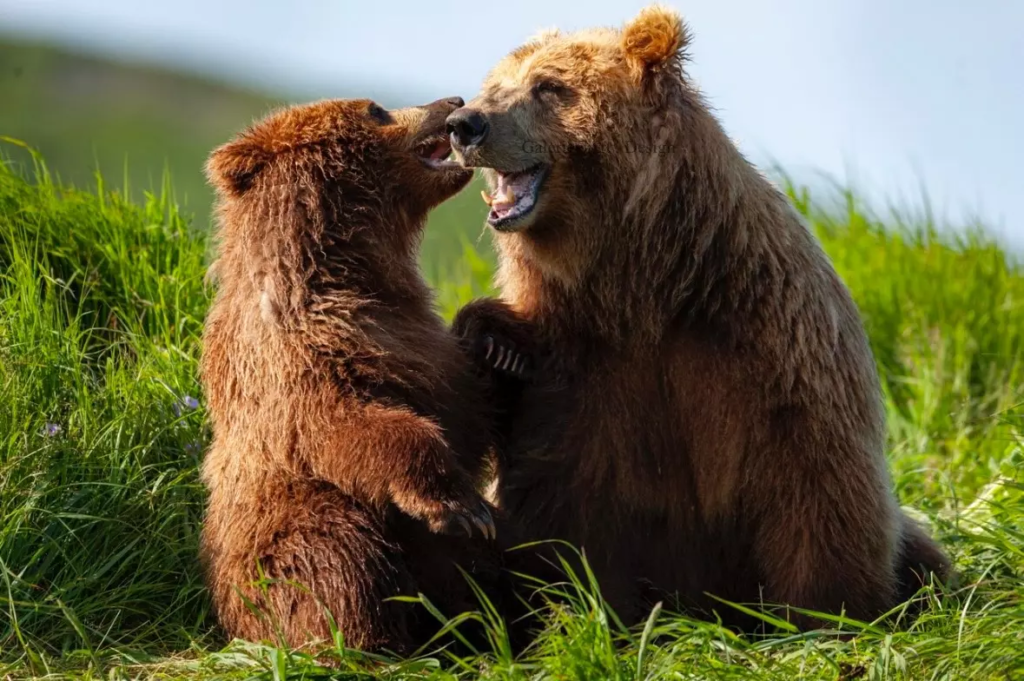 Image Cliff et Solstice