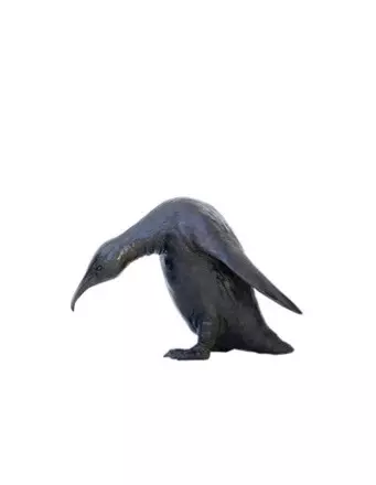 Image Manchot se penchant