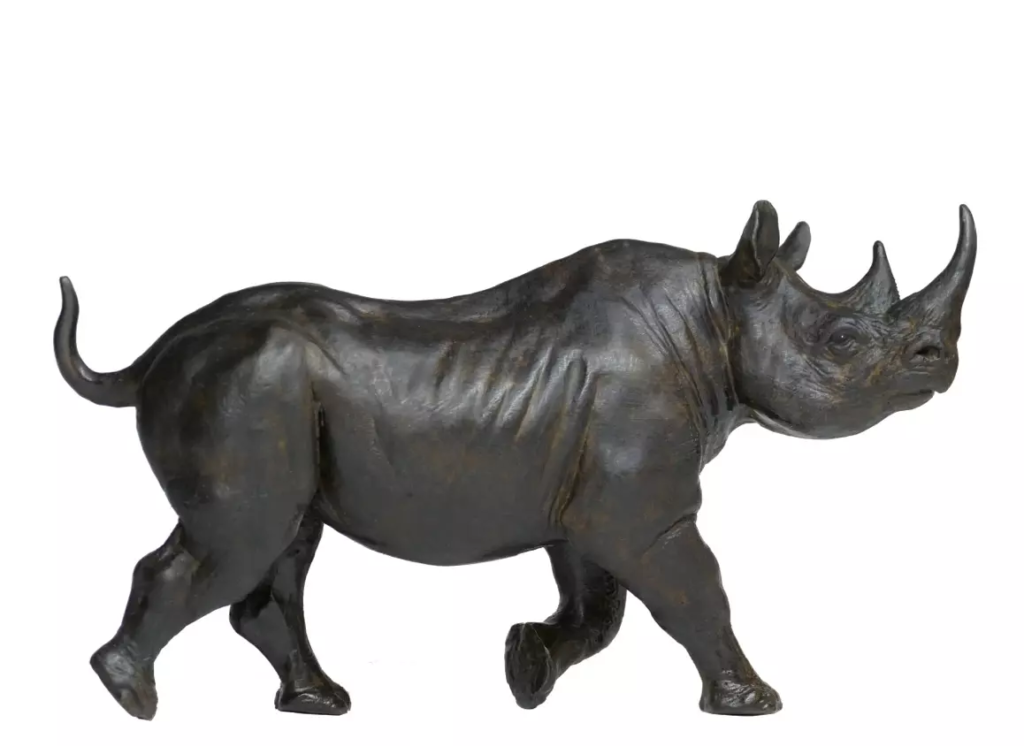 Image Rhinocéros noir femelle au trot