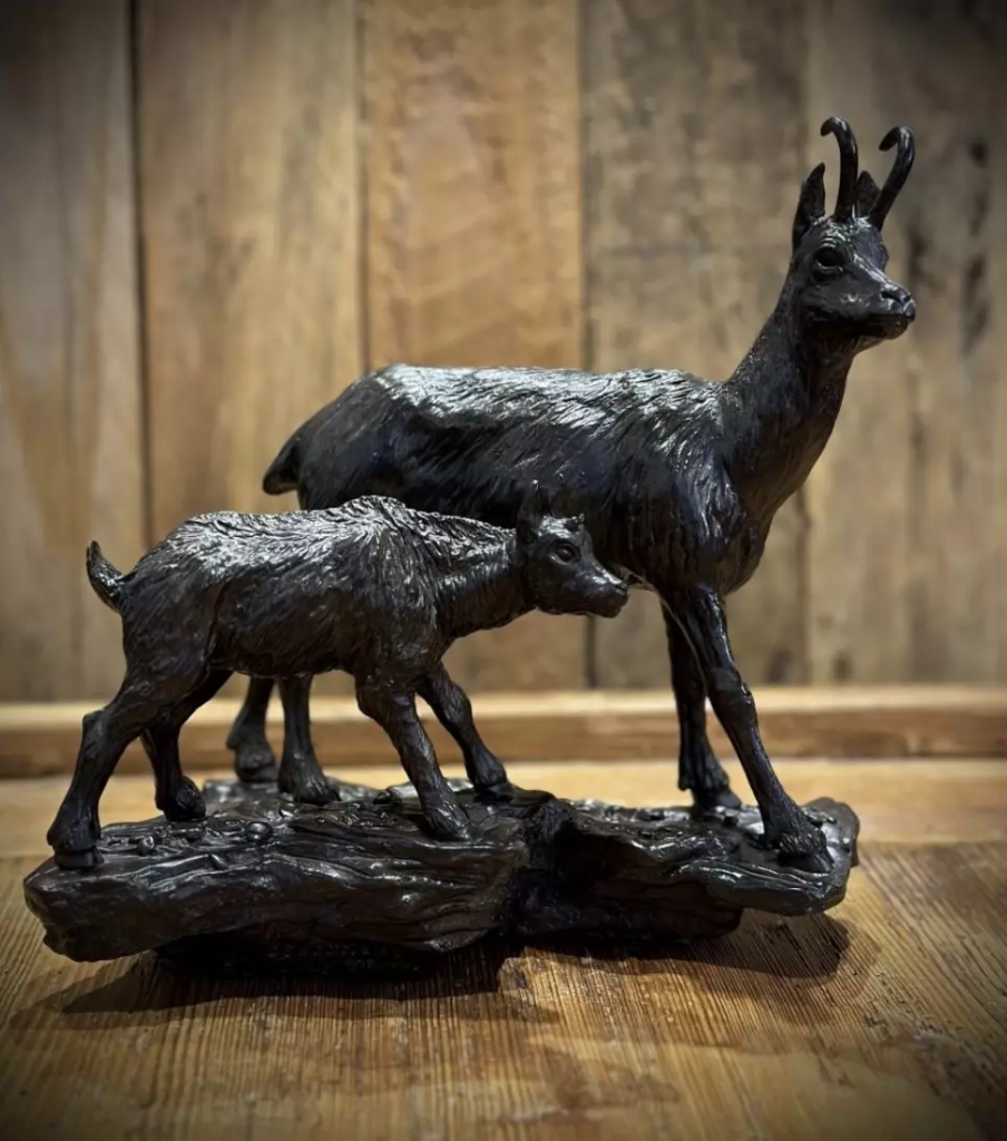 Image Chamois et Chevreau