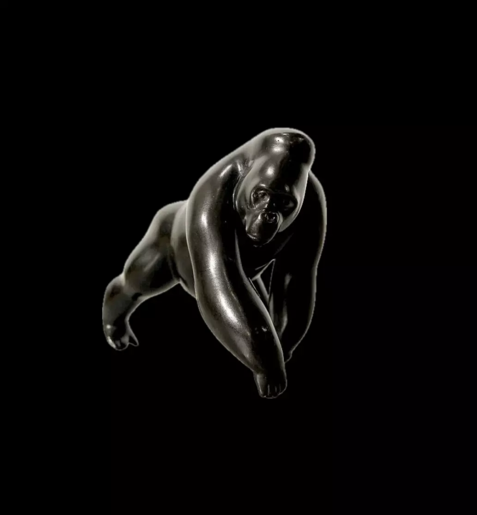 Image Le Dos Argenté n°6