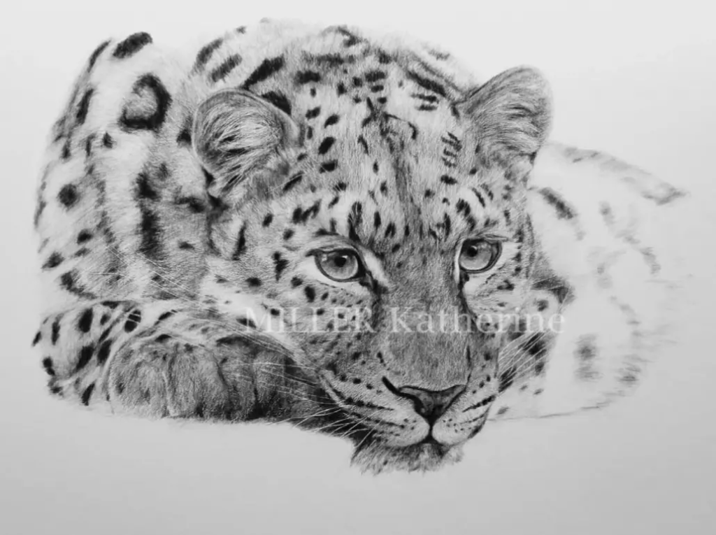 Image Léopard de l’amour