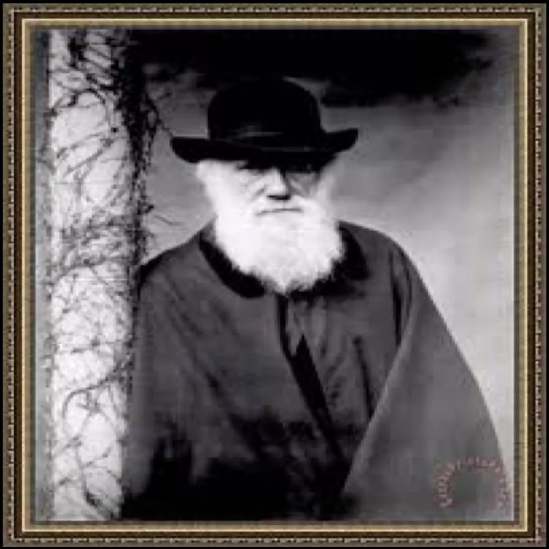 Charles-Alexandre Bertier