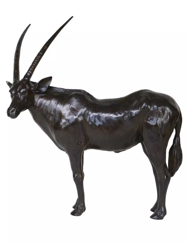 Image Oryx tête tournée