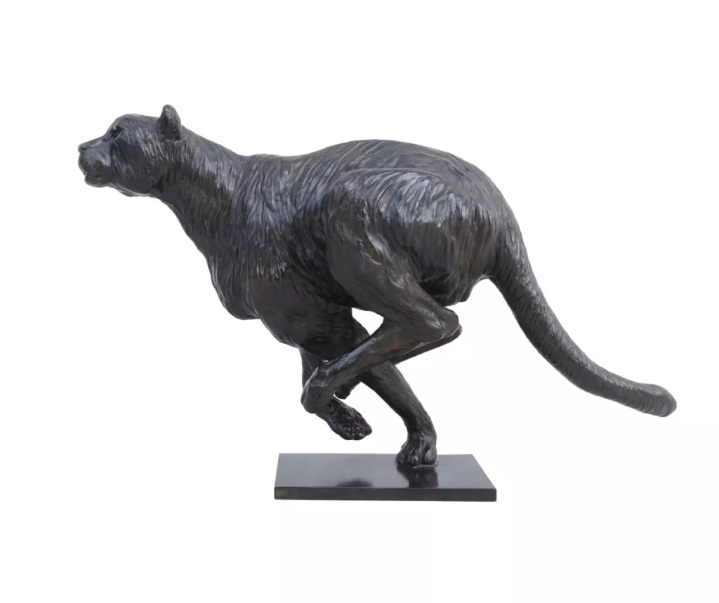 Image Guépard en pleine course