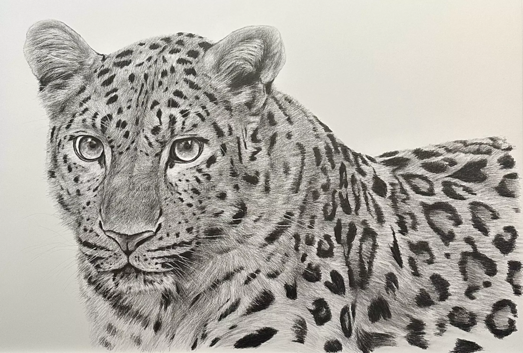 Image Léopard de l’amour 01