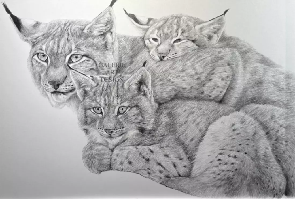 Image Famille de Lynx