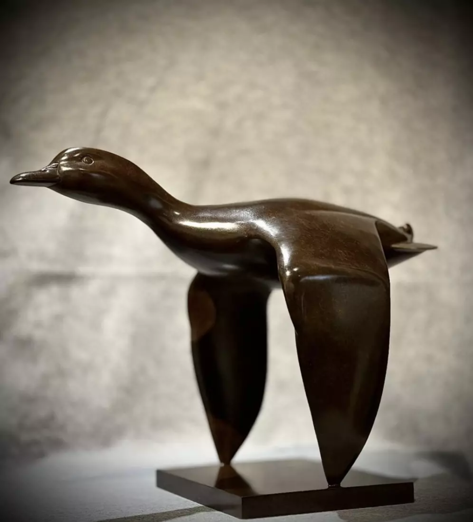 Image Colvert en vol