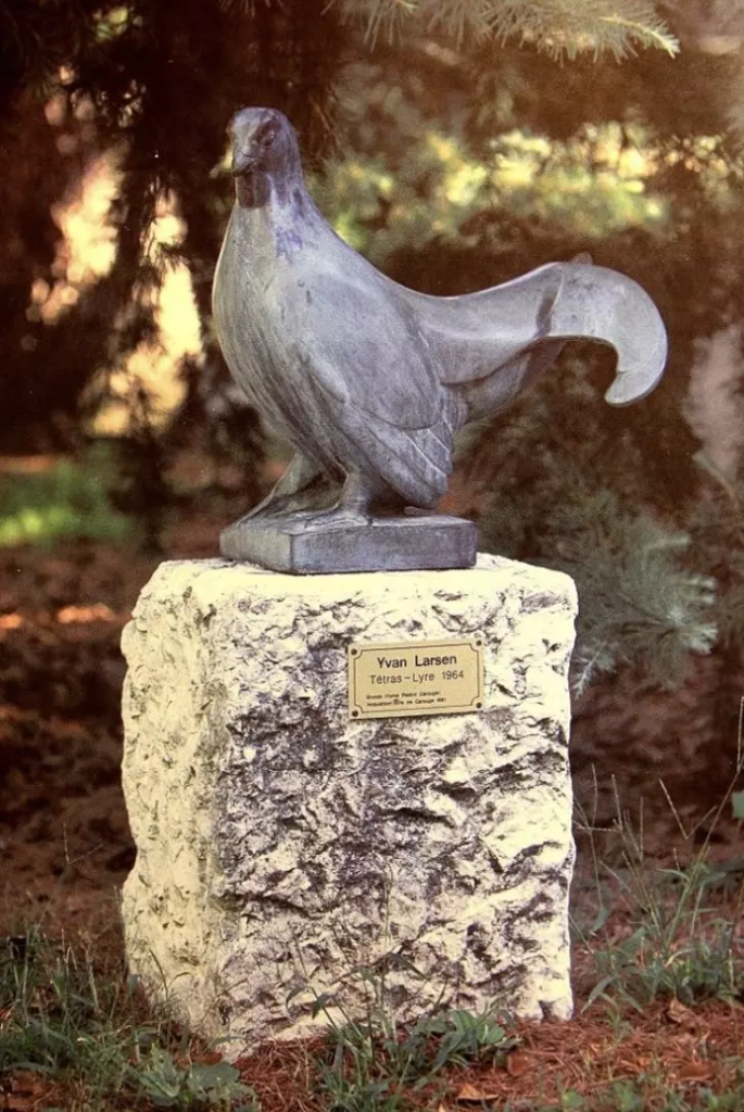 Image Le Tétras-lyre