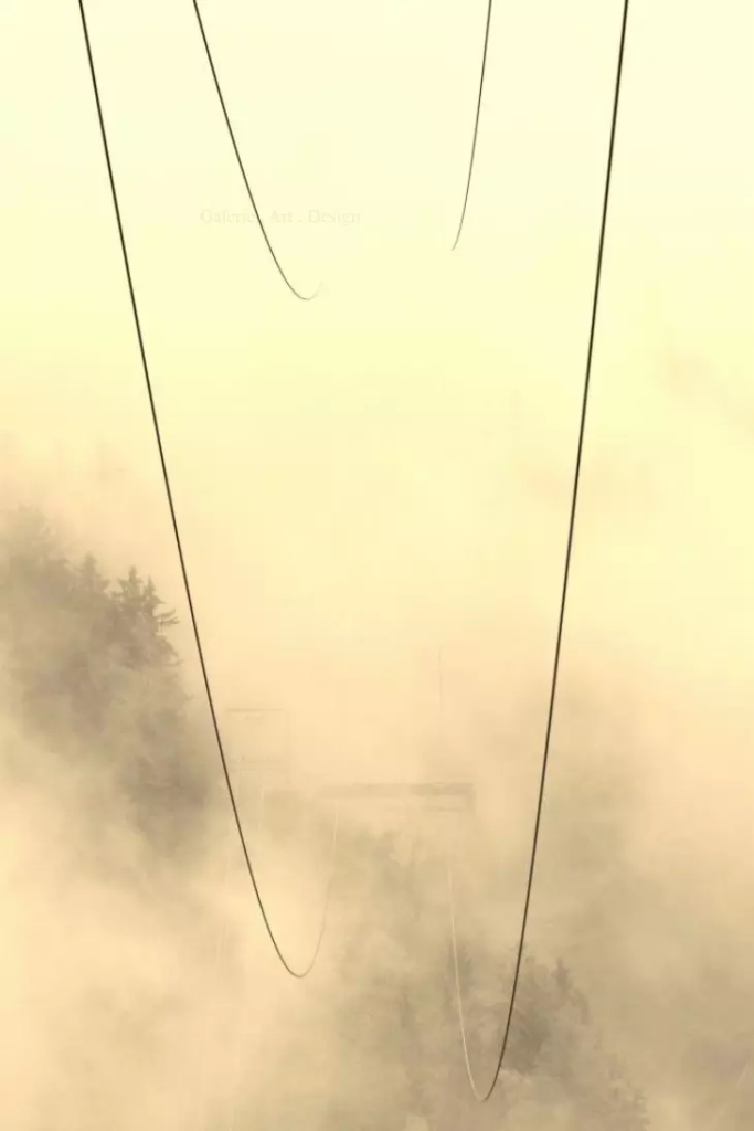 Image Serie cables n°2