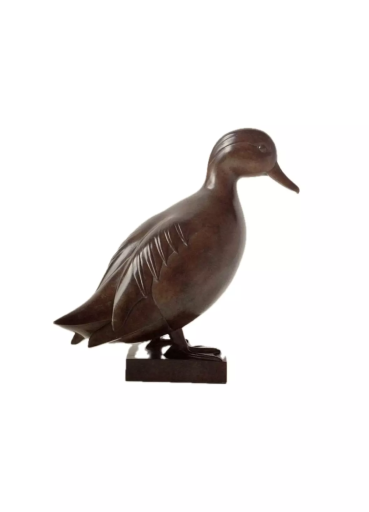 Image Sarcelle d’été