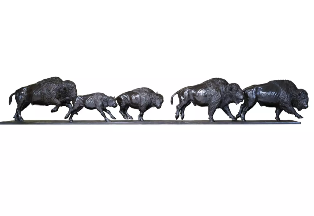 Image Bisons d’Amérique au galop