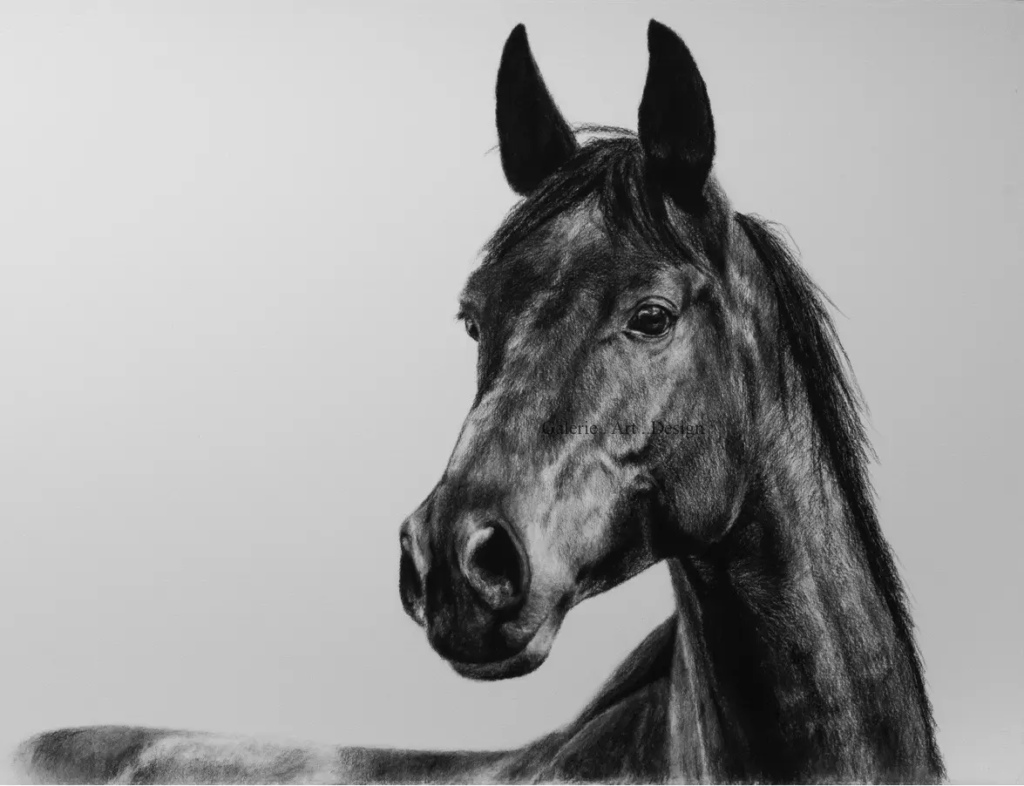 Image La jument noire