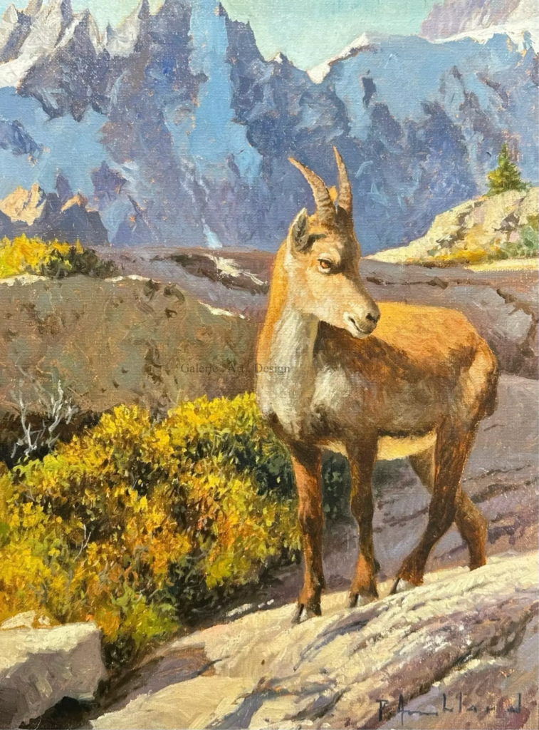 Image Jeune bouquetin