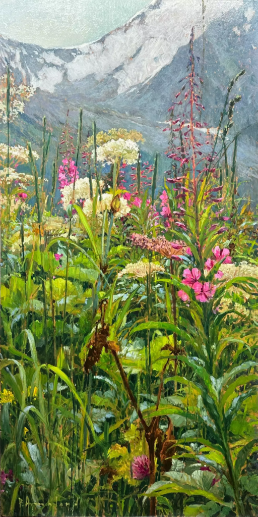 Image Flore d’alpage