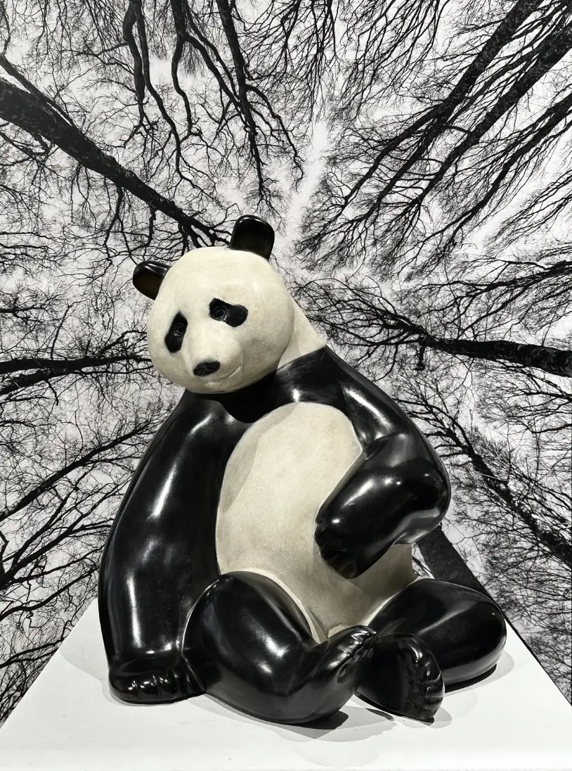 Image Les Bambous n°2