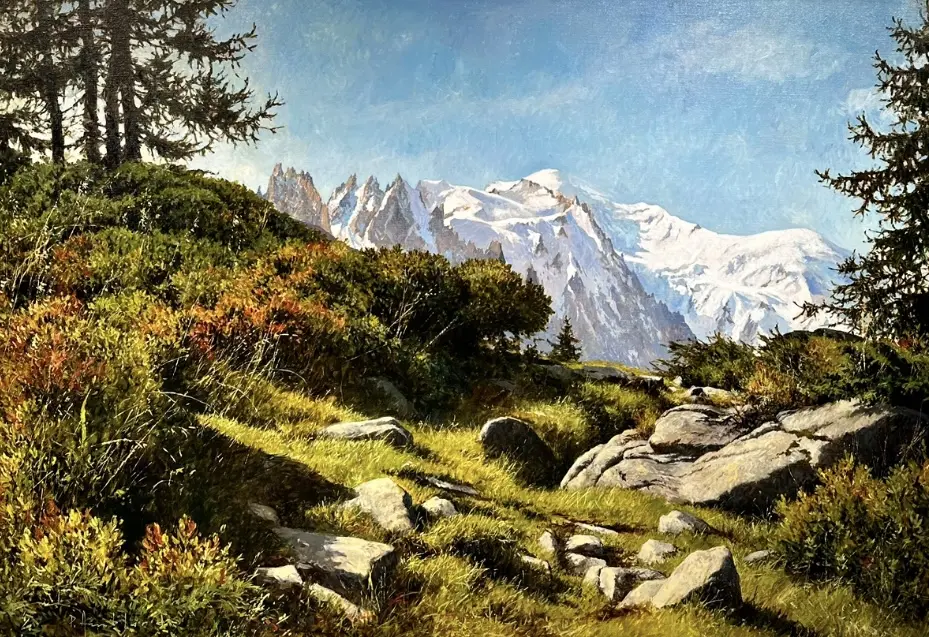 Image Sur les hauteurs de Chamonix