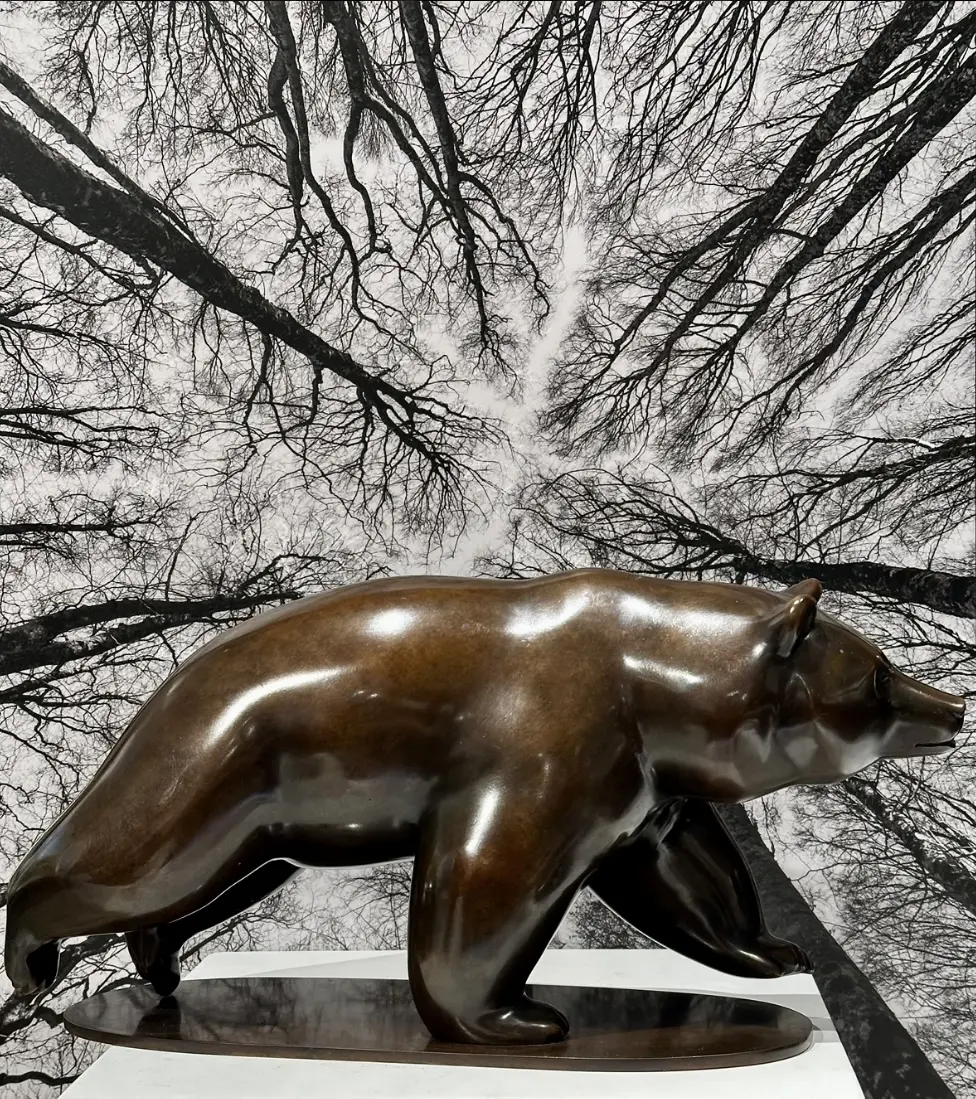 Image Les Saumons N°5