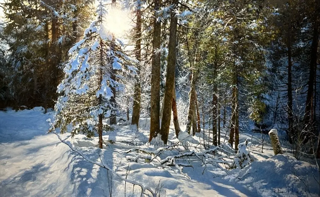 Image Sous bois enneigé