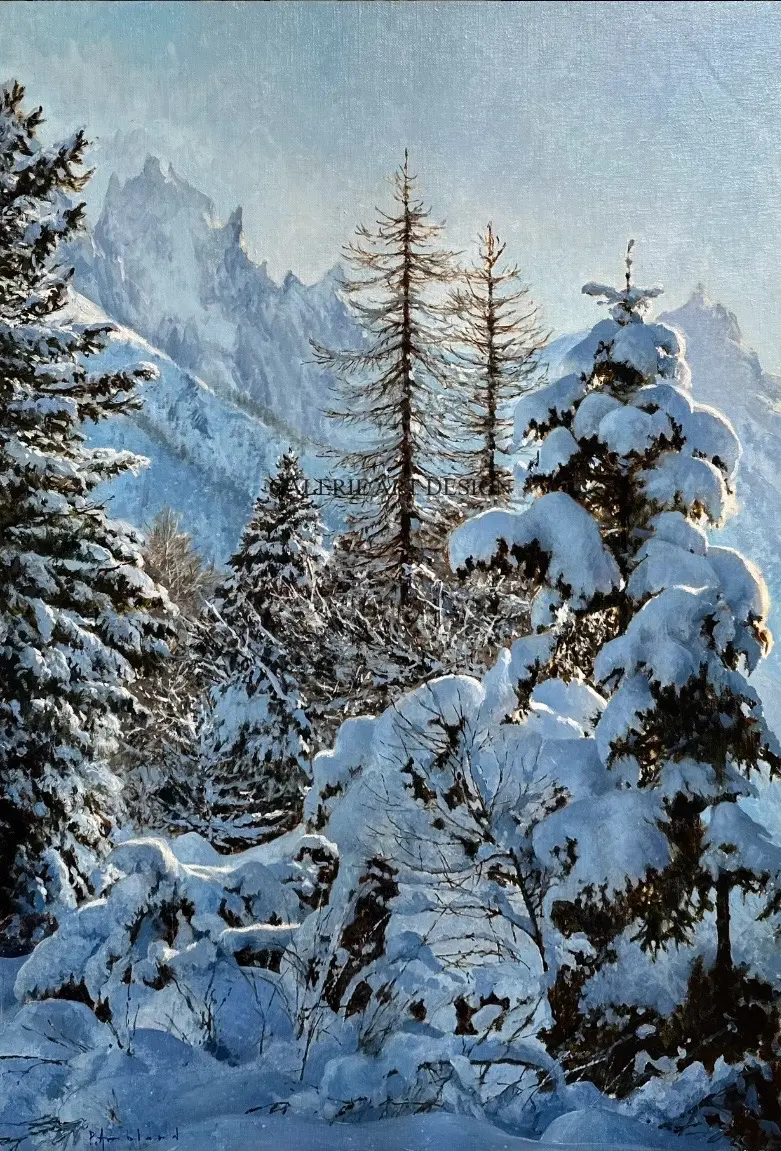 Image Bon Plan, belle neige