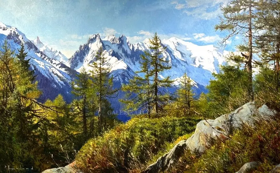 Image Vue sur les Aiguilles de Chamonix